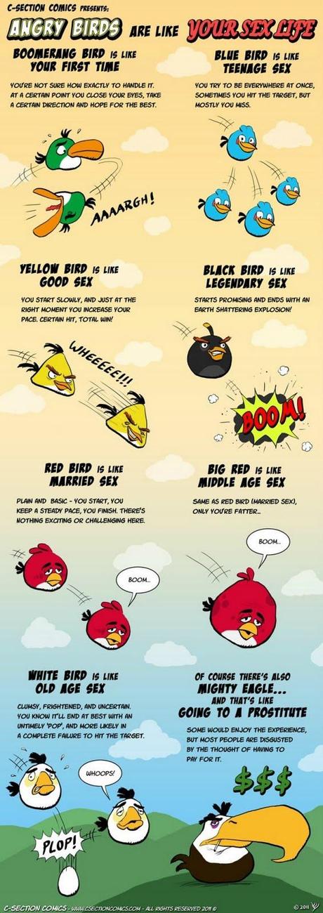 Angry birds es como tu vida sexual