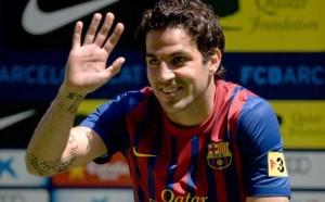 Cesc Barcelona