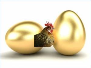 Involución o ¿cómo estrangular la gallina de los huevos de oro?