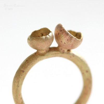 La Chica de los Anillos