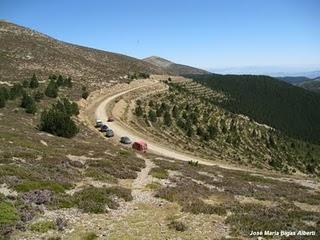 Serenata, montañismo y algún gen femenino