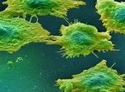 equipo científicos descubren cómo propagan células cancerígenas cuerpo
