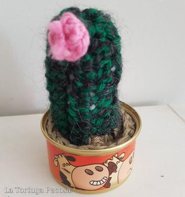 CACTUS TWENTY-THREE CACTUS TWENTY-THREE
