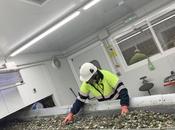 Ayuntamiento Quer Calcín Ibérico mantienen proyecto concienciación estudiantes