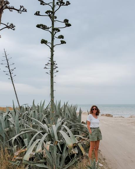 Comenzar el 2021 con Mar, algo de sierras y muchos girasoles