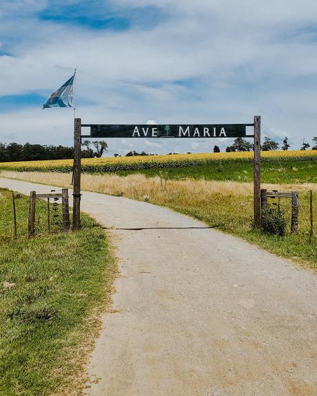 Comenzar el 2021 con Mar, algo de sierras y muchos girasoles