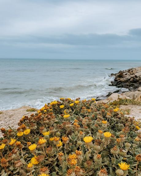 Comenzar el 2021 con Mar, algo de sierras y muchos girasoles