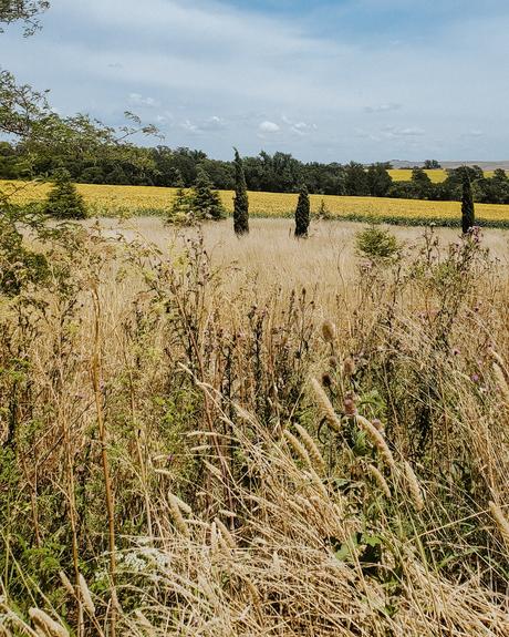 Comenzar el 2021 con Mar, algo de sierras y muchos girasoles