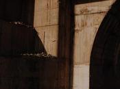 Orange City Preboda Zaragoza