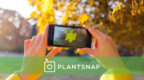 PlantSnap: una app para identificar plantas, árboles y flores a través de tu móvil