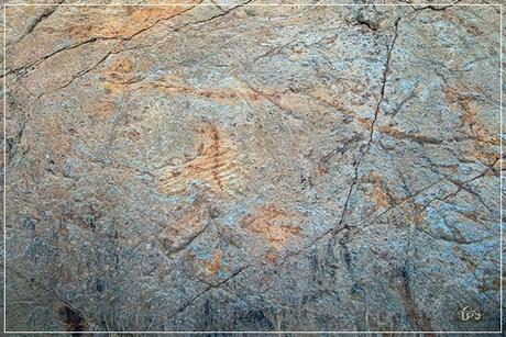 Los nuestros Los nuestros