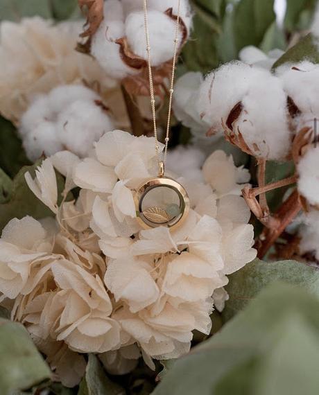 ÚLTIMOS DESCUBRIMIENTOS; THE DREAMING BEE.-