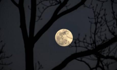 El nombre de la “Luna de lobo” que veremos mañana, no tiene ningún significado astronómico. Será la primera Luna llena de 2021 ¿Cuál es el origen de estos nombres?