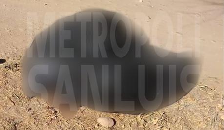 Localizan 2 mujeres embolsadas en un camino de Cerro de San PEdro