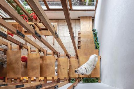 La cueva de la mini bestia