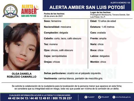 Alerta Amber: Daniela Robledo de 13 años vista por última vez en la Tercera Grande