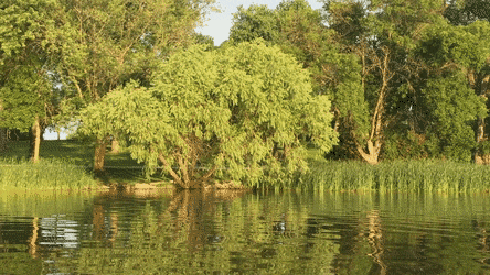 Reseña: Caos de ceniza - Marisa M.R. Reseña: Caos de ceniza - Marisa M.R.