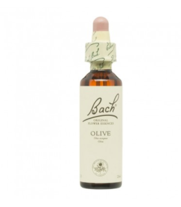 Flores de Bach Olive Olivo 20ml Oferta Flores de Bach Olive Olivo 20ml Oferta