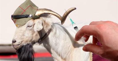 Cuando las ratas abandonan el barco.