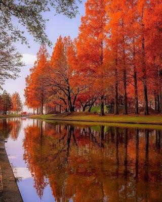 Cuando las ratas abandonan el barco.