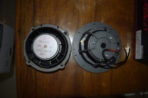 H7N1禽流感疫情爆发西班牙|亚博APP H7N1禽流感疫情爆发西班牙|亚博APP