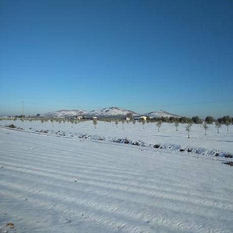 Año de nieve, año de vienés Año de nieve, año de vienés