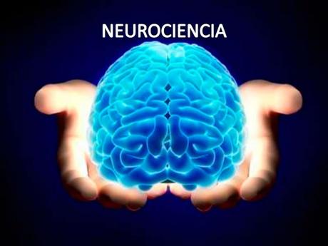 La neurociencia y la toma de decisiones