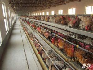 亚博APP下载-人民日报：深化国有企业用工制度改革