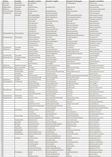 Videla Dorna- Gorchs (septiembre 2020)