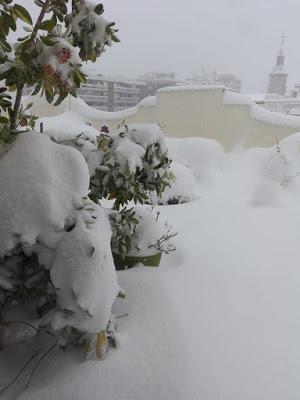 Madrid-nevada