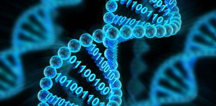 Efecto Baldwin, aprendizaje e inteligencia artificial