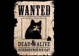 Física cuántica, estar vivo y muerto al tiempo