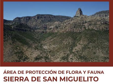 Listo estudio para declarar Área Natural Protegida a la Sierra de San Miguelito