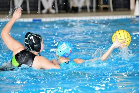 El C.W. Dos Hermanas PQS, nuevo líder de la Liga Andaluza femenina Recibidos