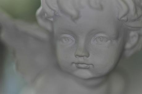 ¿Destino o esperanza? ¿Destino o esperanza?