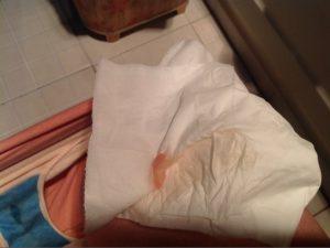 高圆圆怀孕！赵又廷微博报喜高圆圆怀孕：谢谢大家祝福|亚博APP官方版