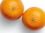 nueva novela Sabela Balsa: ‘Los insectos también tienen corazón’