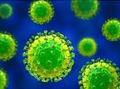 Virus Nipah