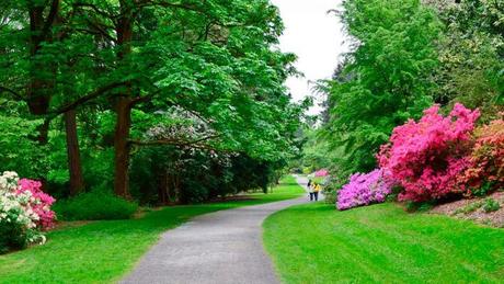 Los jardines también son para el invierno