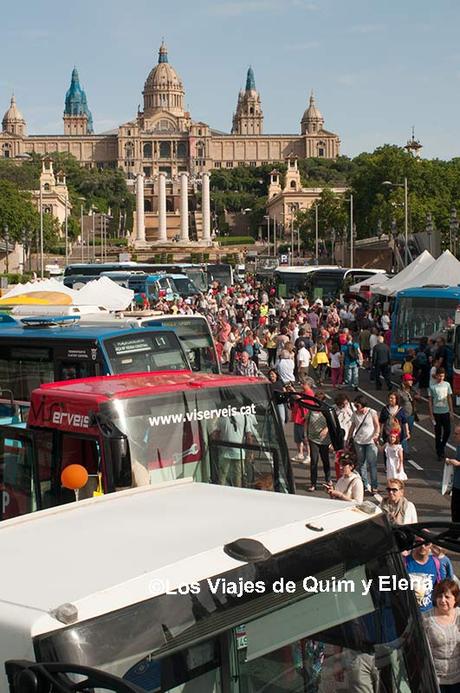 Exposición autobuses clásicos, autobuses de Barcelona