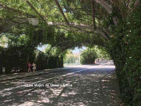 Túnel cubierto de vegetación