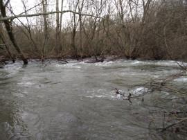 El Jarama otra vez desbordado