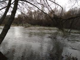 El Jarama otra vez desbordado