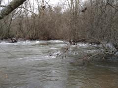 El Jarama otra vez desbordado