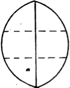 galton_cake2 Historias de pi: Cuando Sir Francis Galton nos enseñó como dividir una tarta redonda