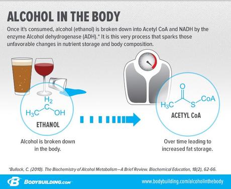 Infografía de alcohol en el cuerpo