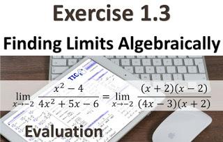 Exercise 1.3. Finding Limits Algebraically