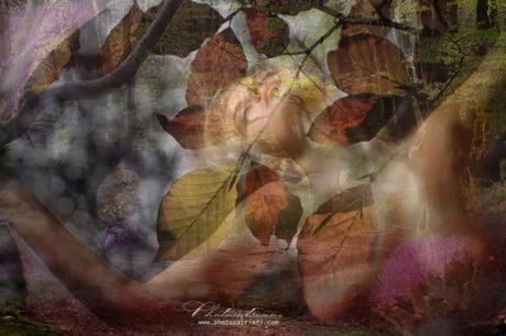 Il Venerdí di Photosatriani N. 300