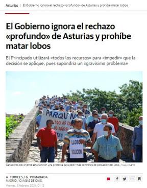 La protección del lobo y las reacciones políticas