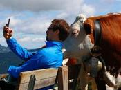 tipos humor británico